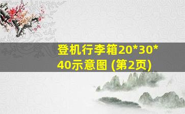 登机行李箱20*30*40示意图 (第2页)